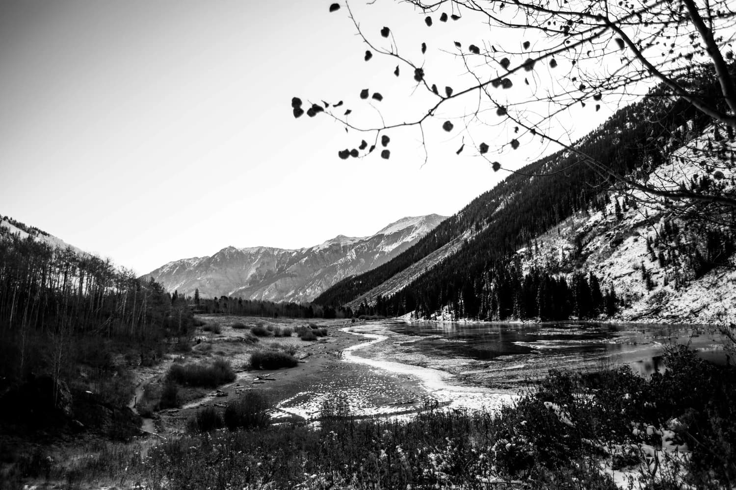 Black and white mountain valley with a frozen lake and bare aspen branches